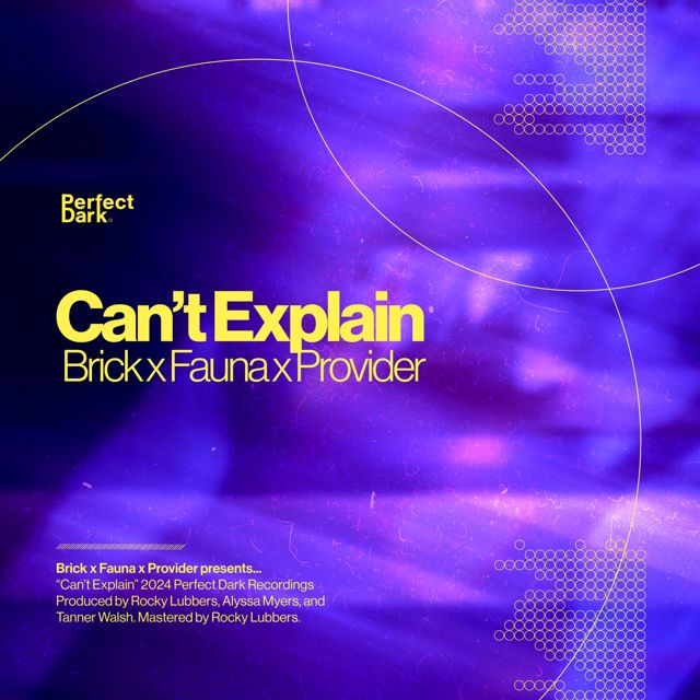 BRICK - 'Can't Explain (feat. Fauna & Provider)' [Ringtone]