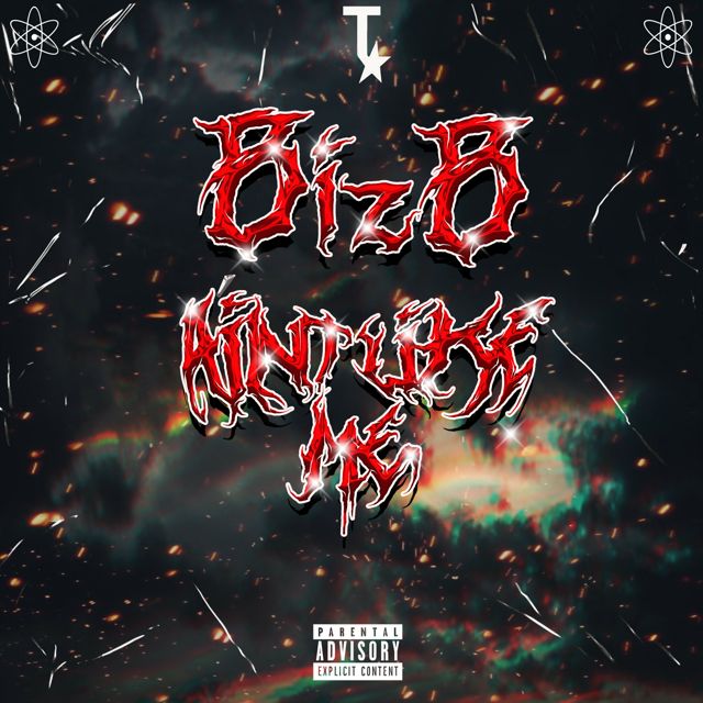 Bizb - 'Ain't Like Me' [Ringtone]