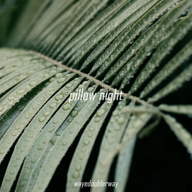 Wayedoublerway - 'Pillow Night' [Ringtone]