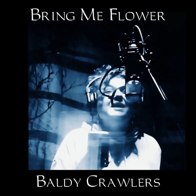 Baldy Crawlers - 'Bring Me a Flower' [Ringtone]
