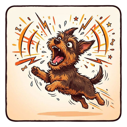 Woody Sound - 'Rapid Dog Bark' [Ringtone]