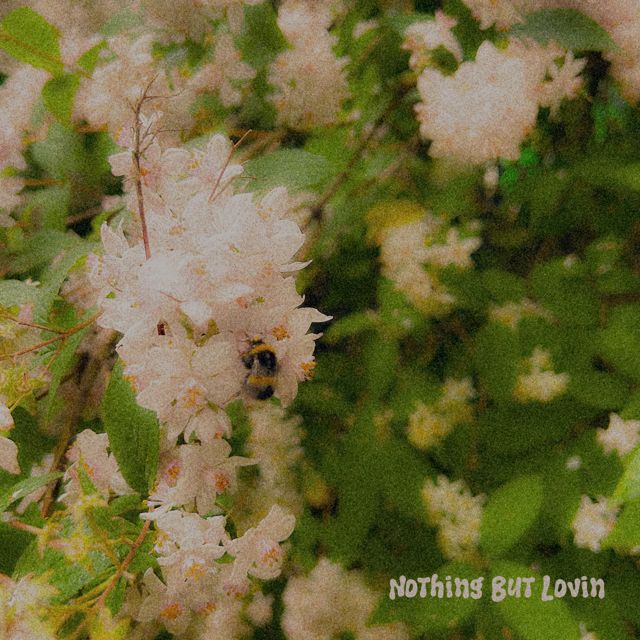 Lewis Maxwell - 'Nothing But Lovin' [Ringtone]