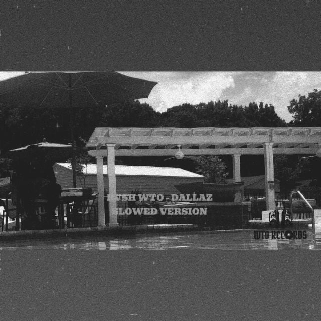 RVSH WTO - 'DALLAZ (SLOWED VERSION)' [Ringtone]