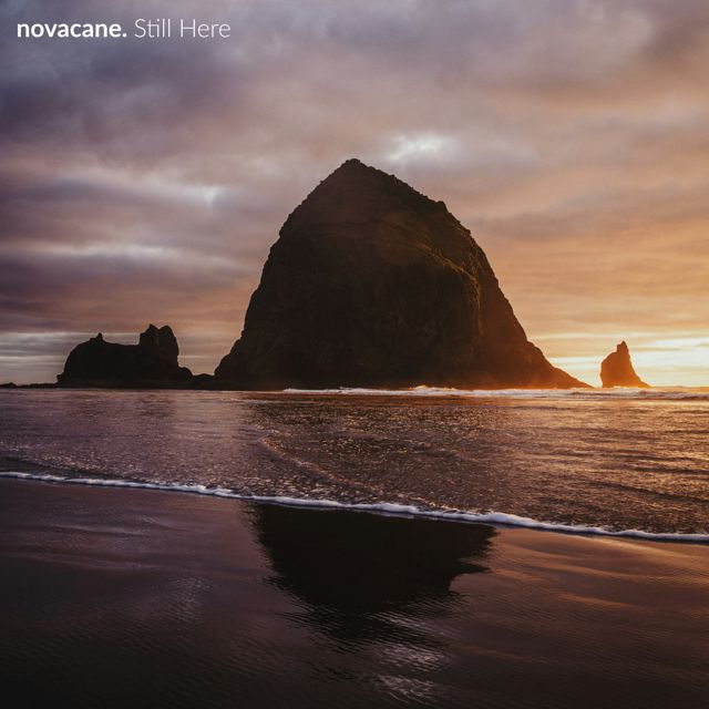 novacane. - 'gone' [Ringtone]