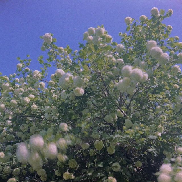 Porch Kiss - 'be mine' [Ringtone]