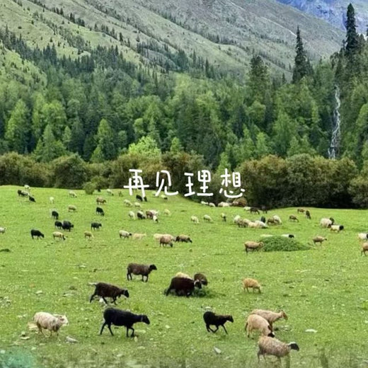 落日微笑 - '再见理想' [Ringtone]