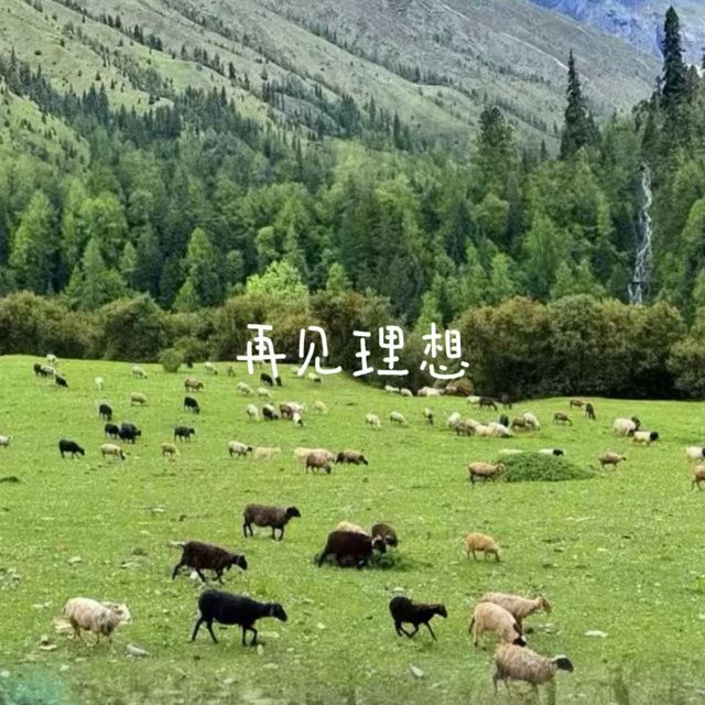 落日微笑 - '再见理想' [Ringtone]