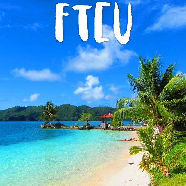 Tropical Jawns - 'FTCU (Marimba Version)' [Ringtone]