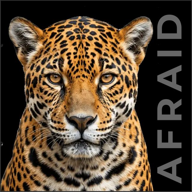Fos4is - 'Afraid' [Ringtone]
