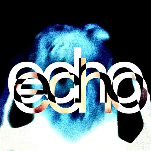 wyfy - 'echo' [Ringtone]