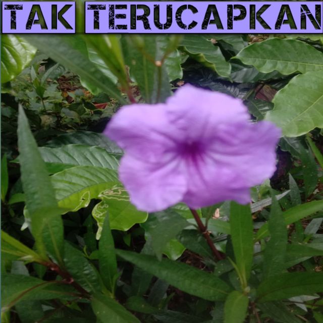 Condromusic - 'Tak Terucapkan' [Ringtone]