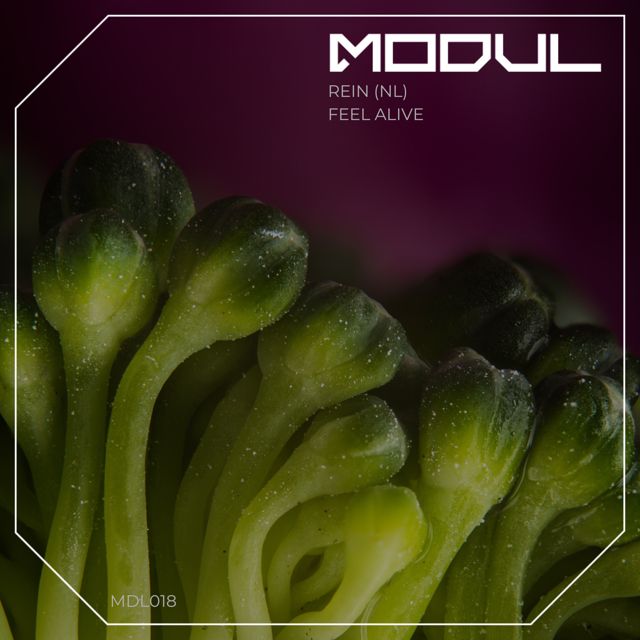 Rein (NL) - 'Feel Alive' [Ringtone]