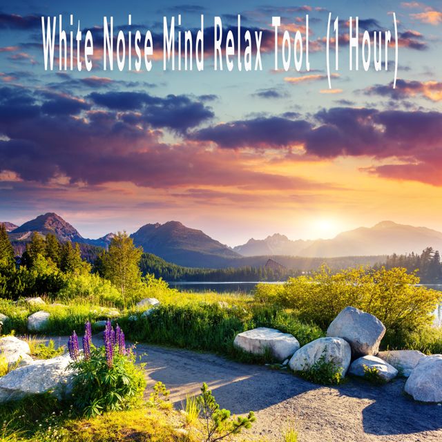 White Noise Therapeutics - 'White Noise Mind Relax Tool (1 Hour)' [Ringtone]
