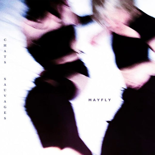 Mayfly - 'Chats sauvages' [Ringtone]