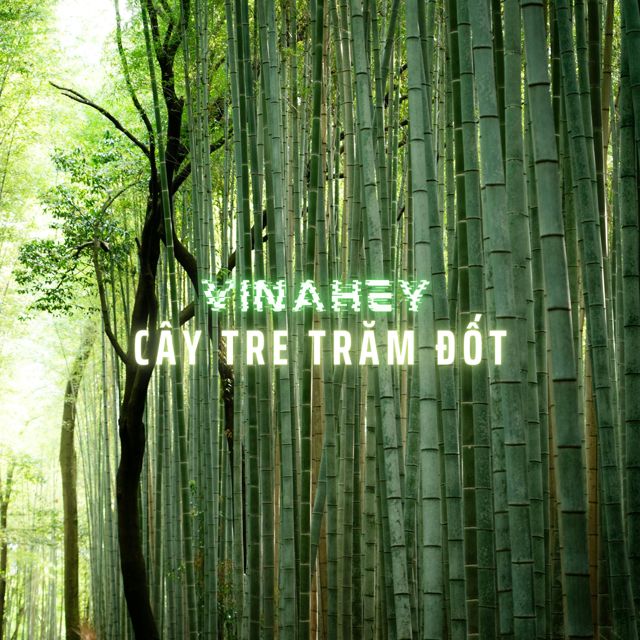 VINAHEY - 'Bamboo Bass' [Ringtone]
