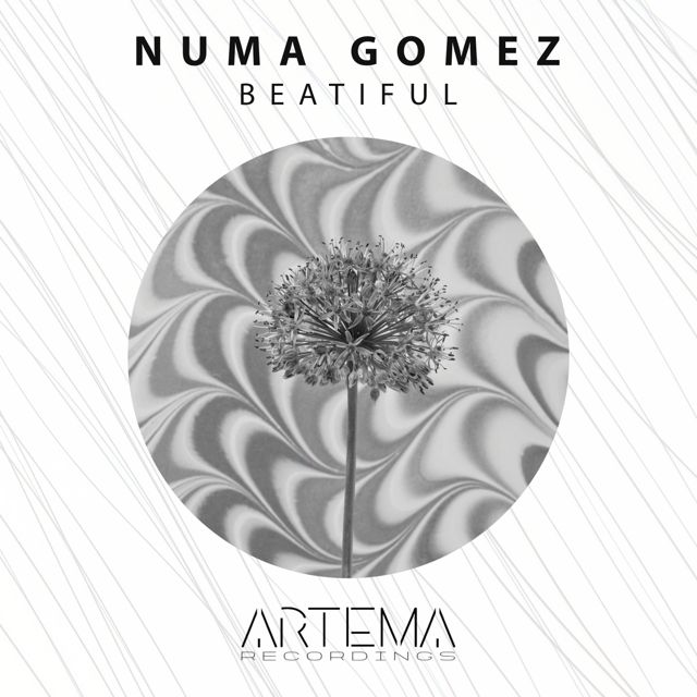 Numa Gomez - 'Milo' [Ringtone]