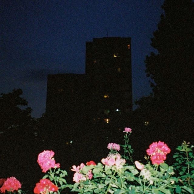 Broken Lip - 'Cuarto (feat. Milenari)' [Ringtone]