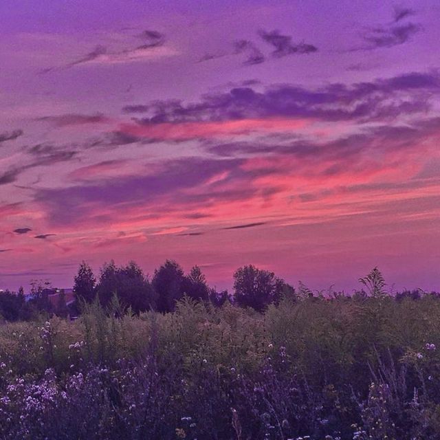 cinar - 'maybe tomorrow still awaits us' [Ringtone]