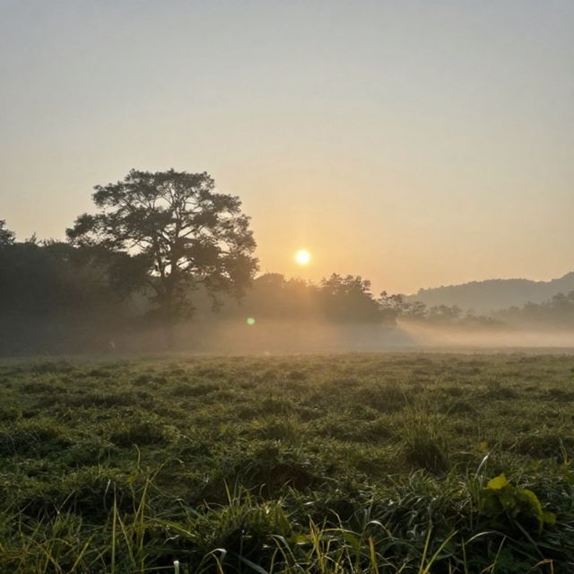 No Face Frequency - 'God Morning' [Ringtone]