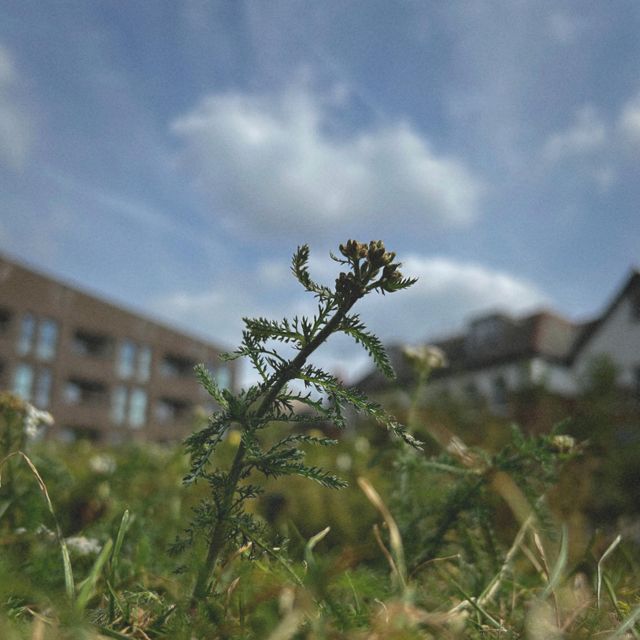 Chris Hart - 'July (Instrumental)' [Ringtone]