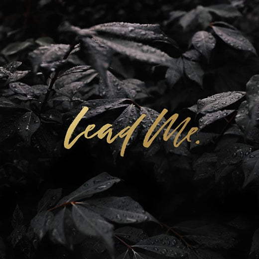 ivancaki95 - 'LEAD ME' [Ringtone]