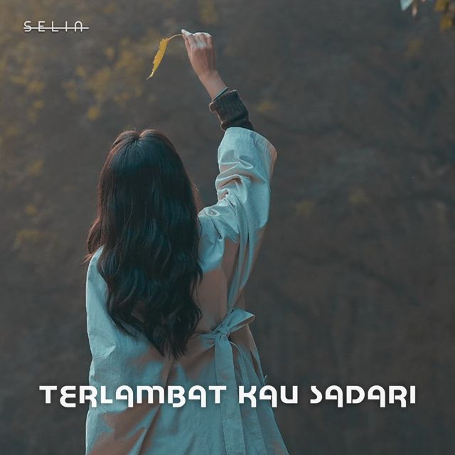 Selin - 'Terlambat Kau Sadari' [Ringtone]