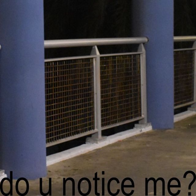 Bunni Below - 'do u notice me?' [Ringtone]