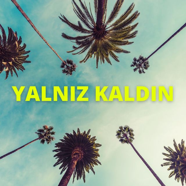 Juan Jose Raiz - 'Yalnız Kaldın (2021)' [Ringtone]