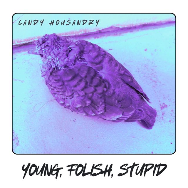 Candy Housandry - 'Young, Foolish, Stupid' [Ringtone]