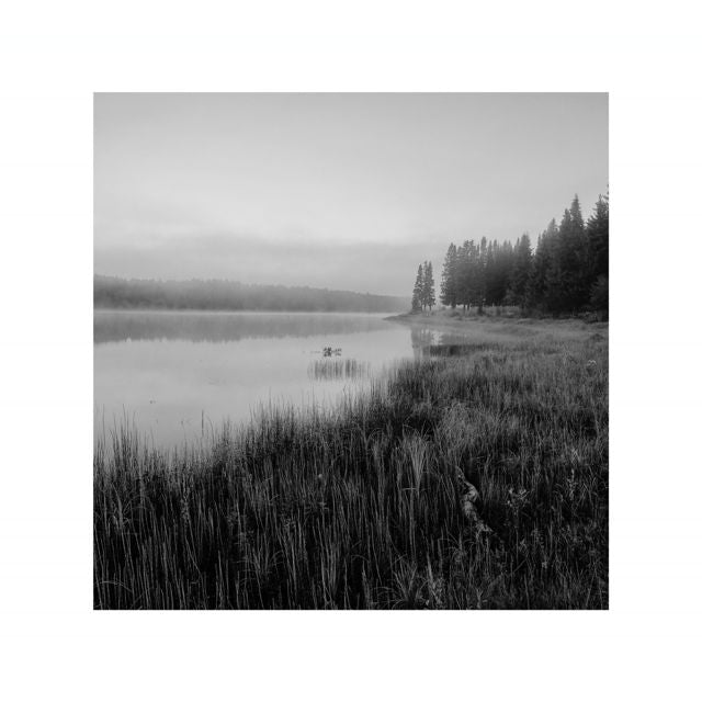 Richard P John - 'Rime' [Ringtone]