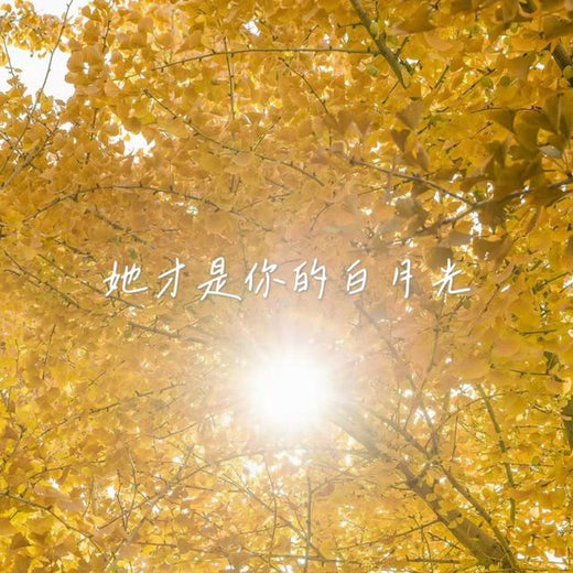 落日微笑 - '她才是你的白月光' [Ringtone]