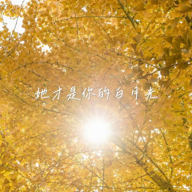 落日微笑 - '她才是你的白月光' [Ringtone]