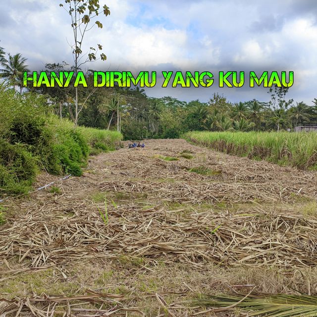 Syahrul - 'Hanya Dirimu yang Ku Mau' [Ringtone]