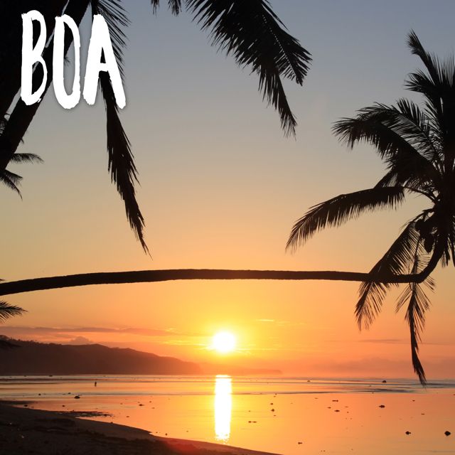 Tropical Jawns - 'BOA (Marimba Version)' [Ringtone]
