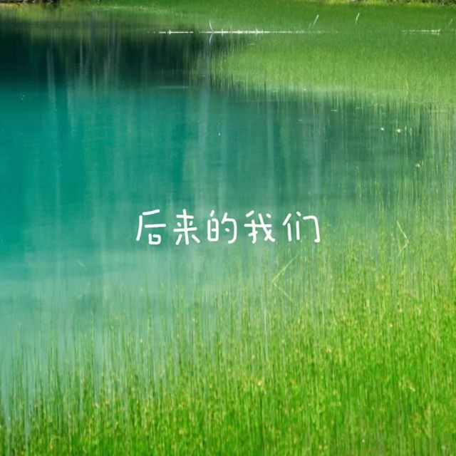 白兰滴 - '后来的我们' [Ringtone]