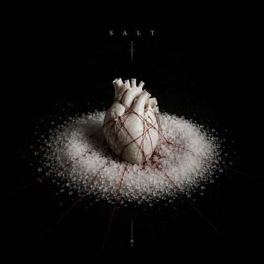 Kiyora - 'Salt on wound' [Ringtone]