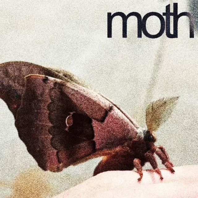 wyfy - 'moth' [Ringtone]