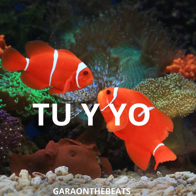 Garaonthebeats - 'Tu y yo' [Ringtone]