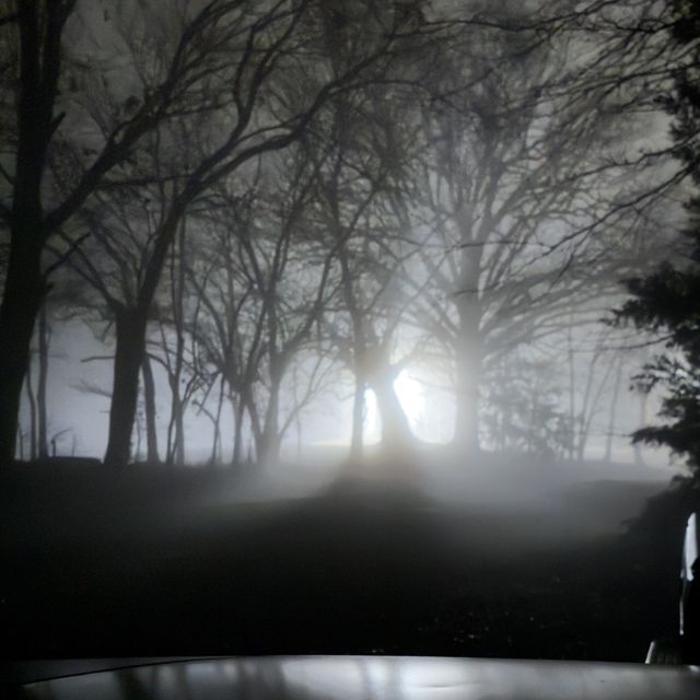 BOZO - 'Long Nights' [Ringtone]