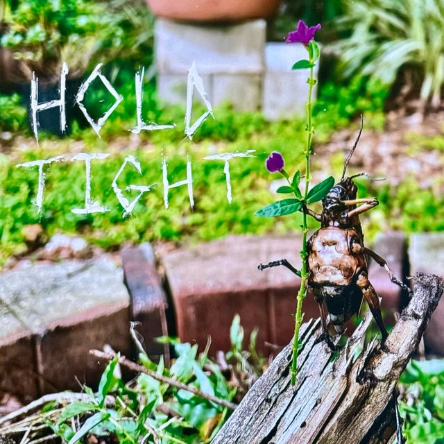 Bangarang - 'Hold Tight' [Ringtone]