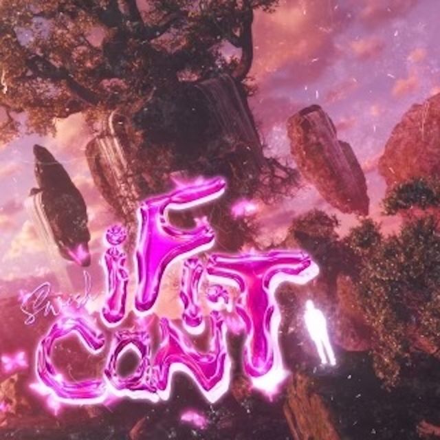 $Wish - 'If I Can't' [Ringtone]