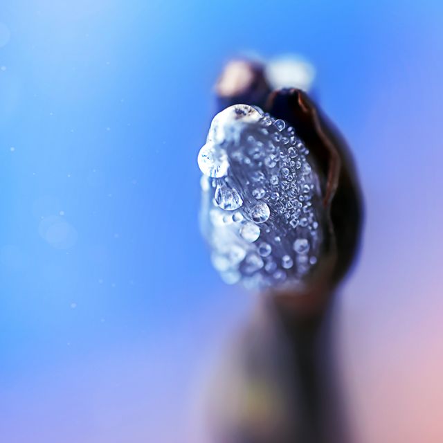Cold Water - 'Circular' [Ringtone]