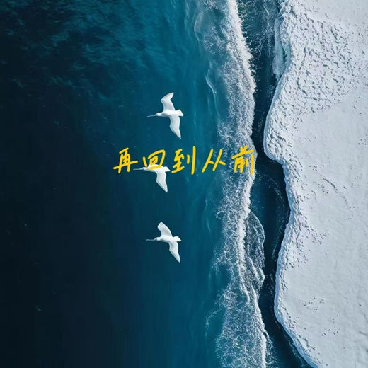 白兰滴 - '再回到从前' [Ringtone]
