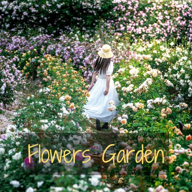 The Gondes - 'Flowers Garden' [Ringtone]
