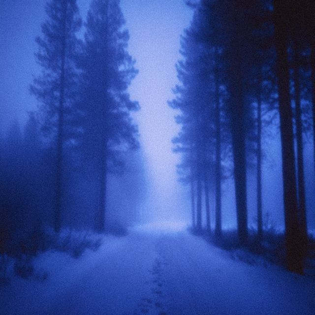 leapyear - 'disappearence' [Ringtone]
