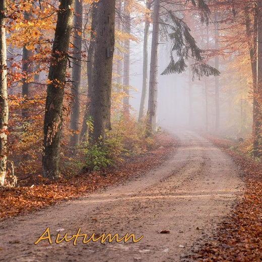 Sentimental Lofi ice - 'Autumn' [Ringtone]