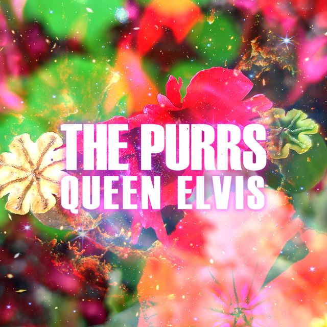 The Purrs - 'Queen Elvis' [Ringtone]