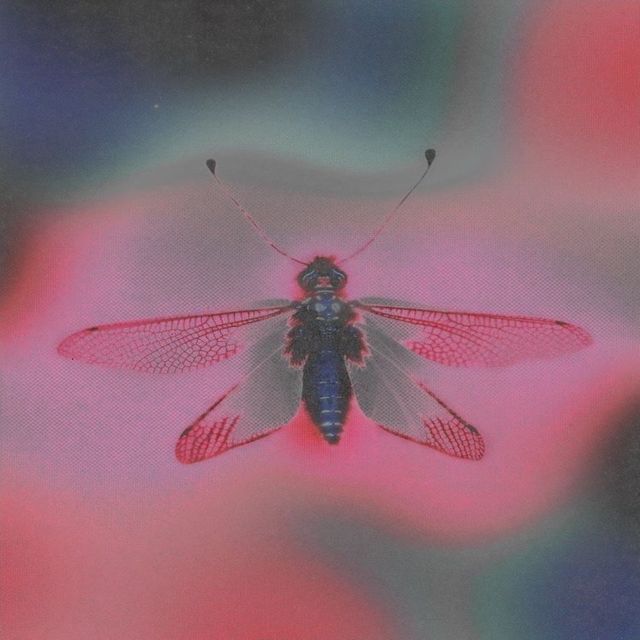 Kantbejibin - 'Voices' [Ringtone]