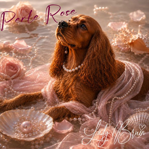 Lady Bruin - 'Perle Rose' [Ringtone]