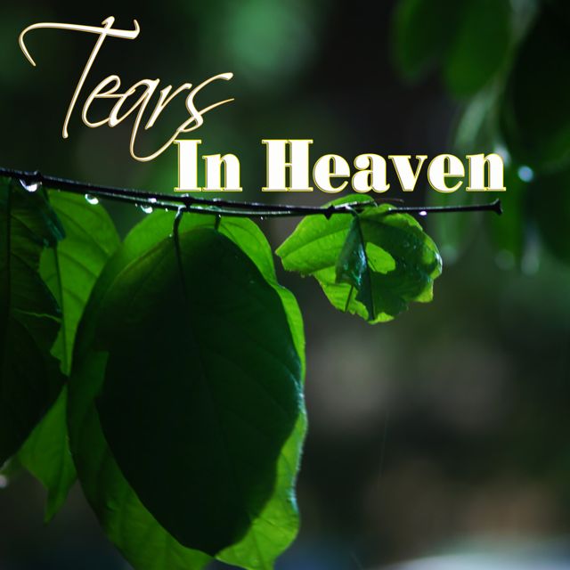 Harris Nguyen - 'Tears In Heaven' [Ringtone]